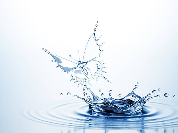 A butterfly is born of the water and is free to soar.